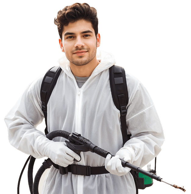 hero-image